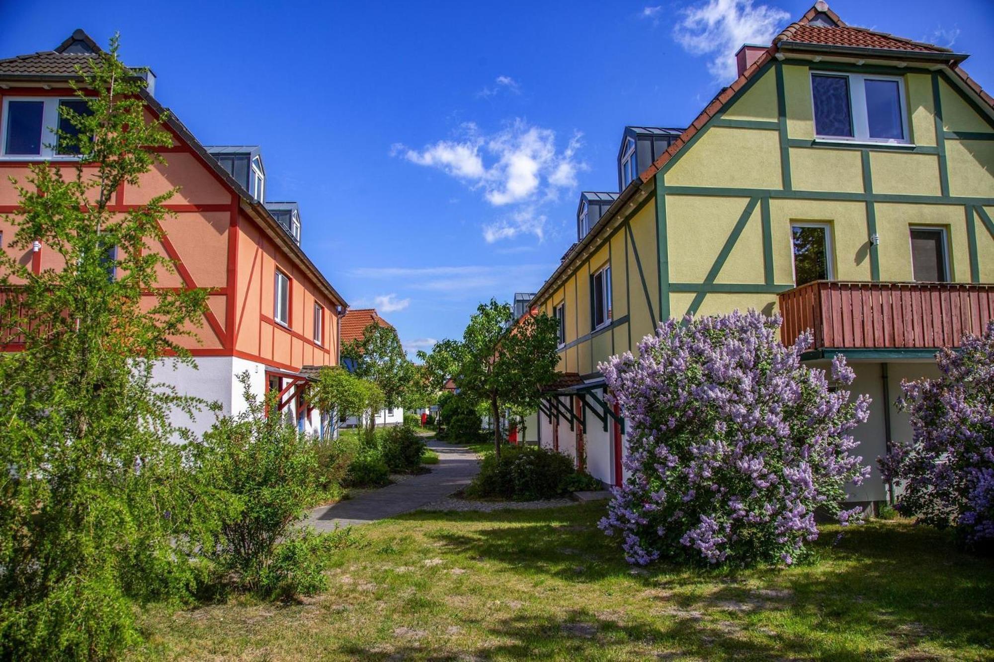 Holiday Complex Beech Resort Fleesensee G Hren Lebbin Göhren-Lebbin Esterno foto
